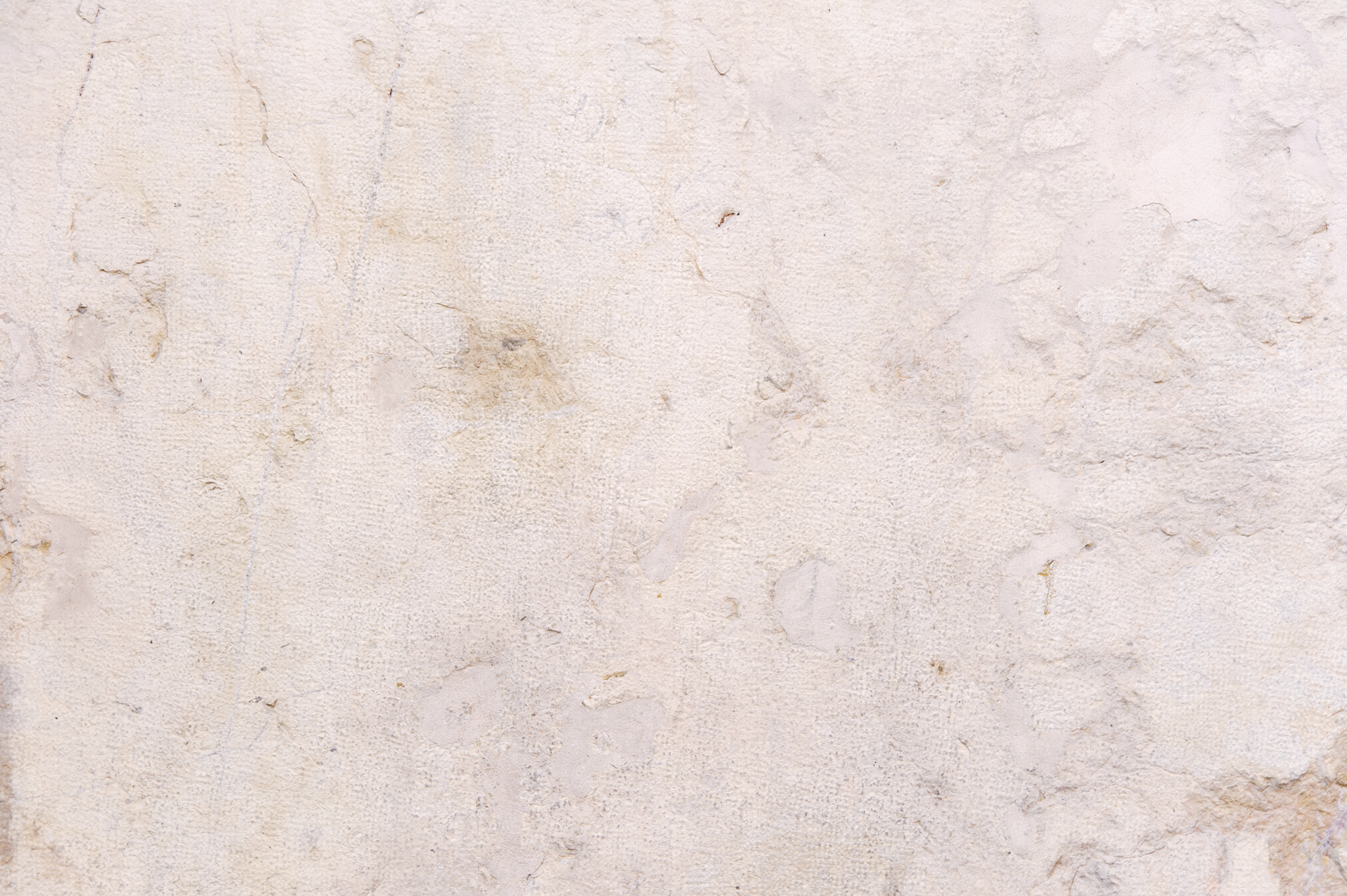 Texture background